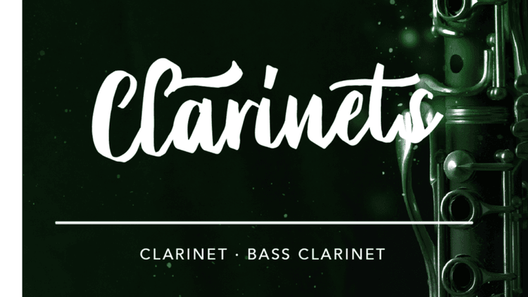 Stefano Lucato and Doctor Mix show how to play SWAM Clarinets