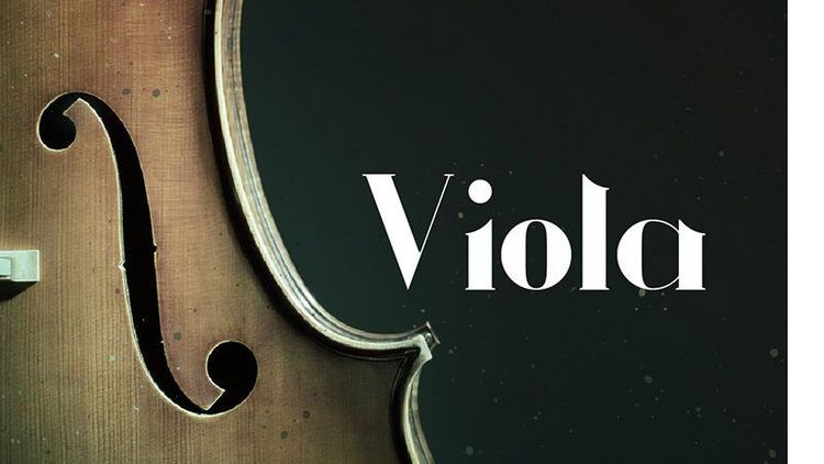 SWAM Viola in action: Doctor Mix and Stefano Lucato are on it!